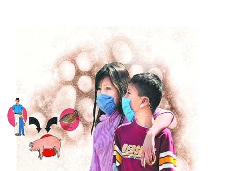 Another death from swine flu